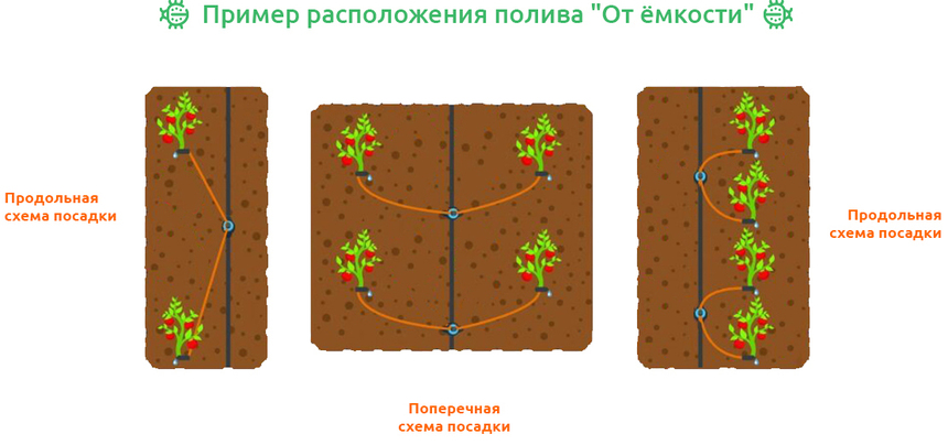 Схема микротрубок при капельном поливе от емкости.